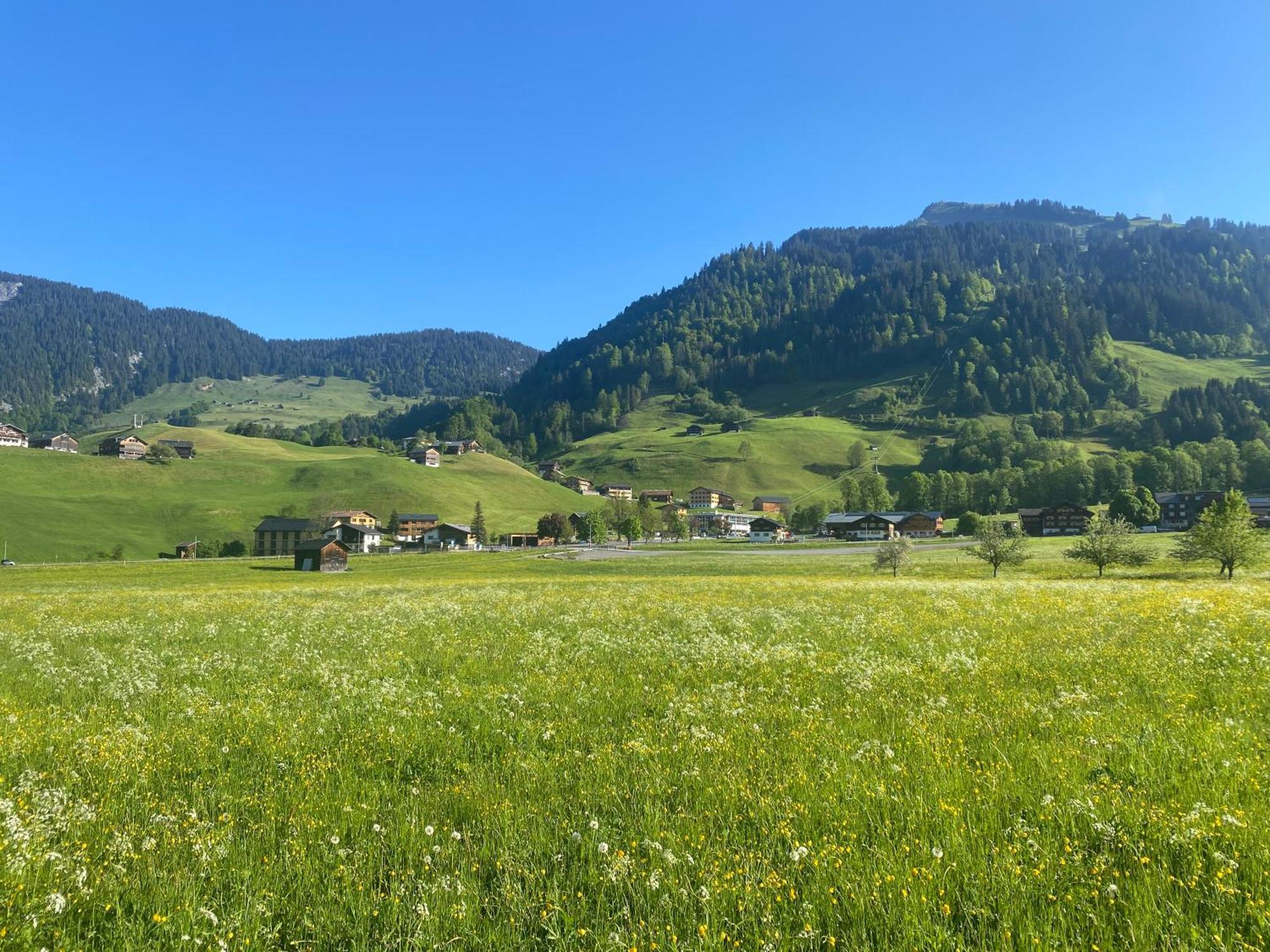 Appartement Haus Diedams *
