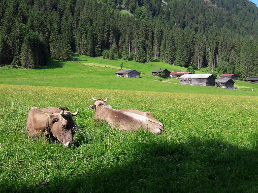 Haus Diedams *