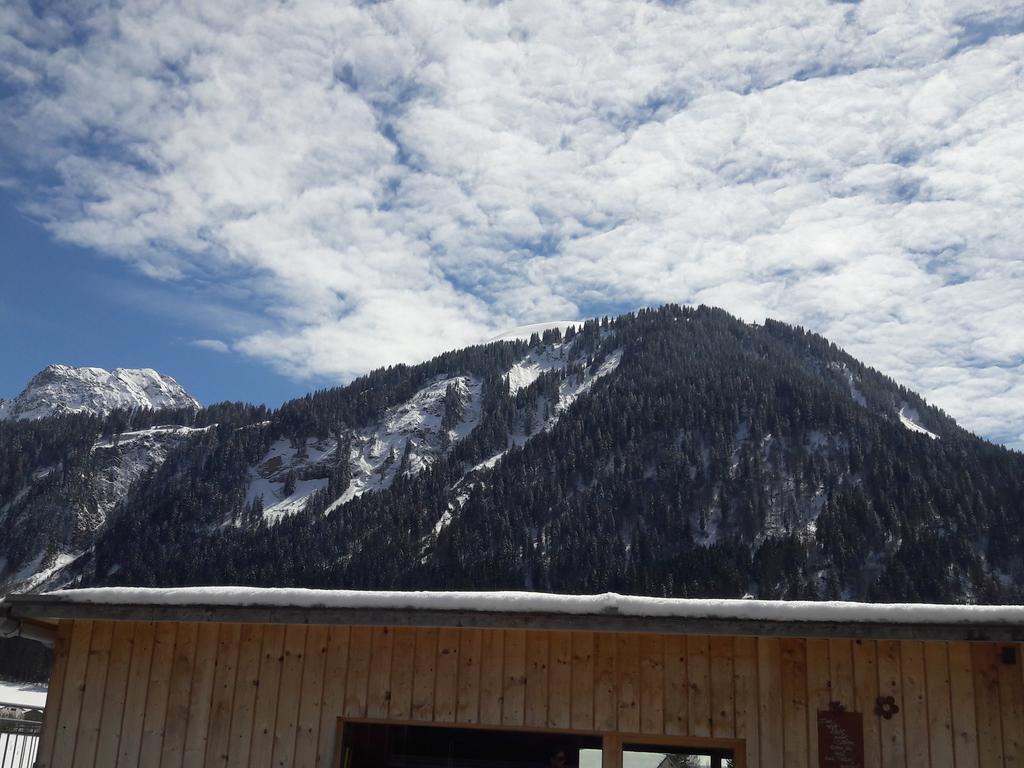 Haus Diedams Appartement
